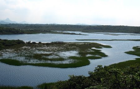 Parque Estadual Paulo César Vinha | Espírito Santo Parque Estadual Paulo César Vinha | Espírito Santo