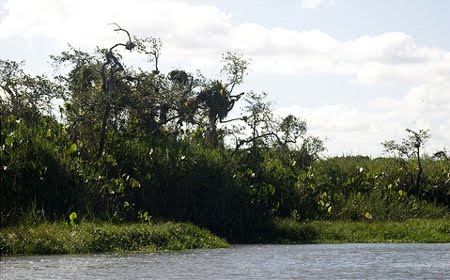 Parque Estadual de Itaúnas | Espírito Santo Parque Estadual de Itaúnas | Espírito Santo