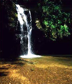 Parque Estadual da Chacrinha | Rio de Janeiro Parque Estadual da Chacrinha | Rio de Janeiro