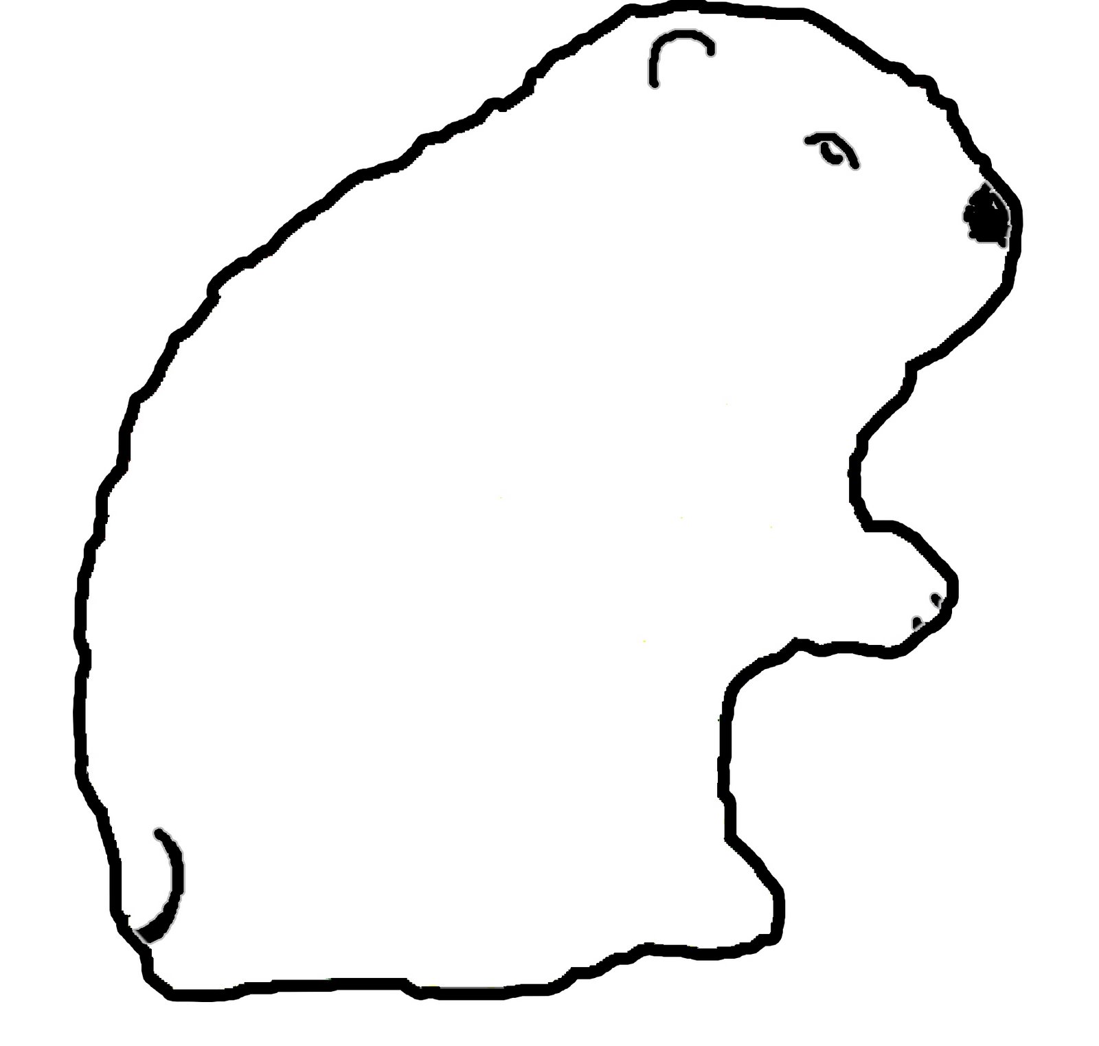 [groundhog_trace.jpg]