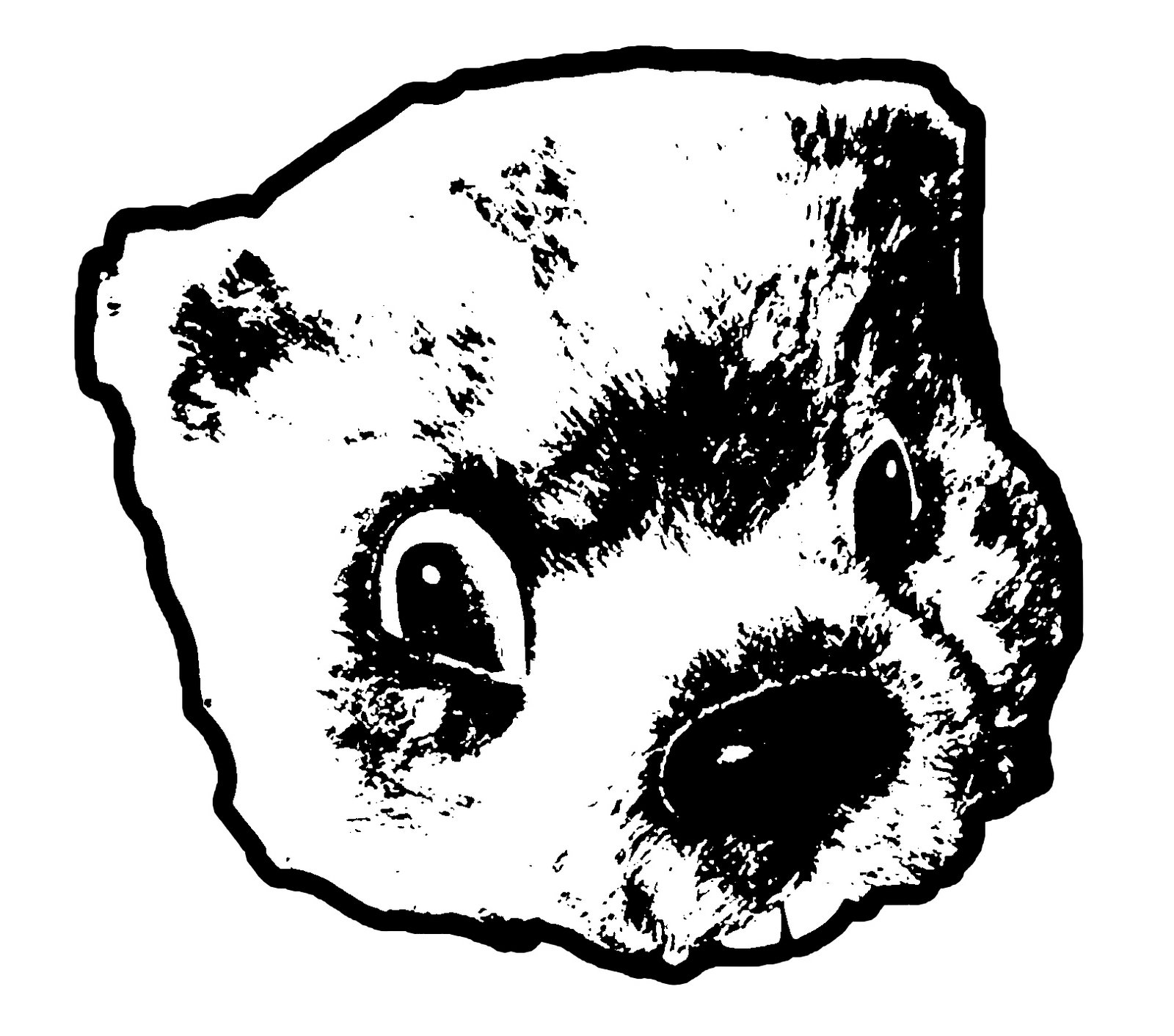 [groundhog.jpg]