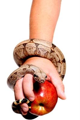 Não Aguenta ??? Vaza.