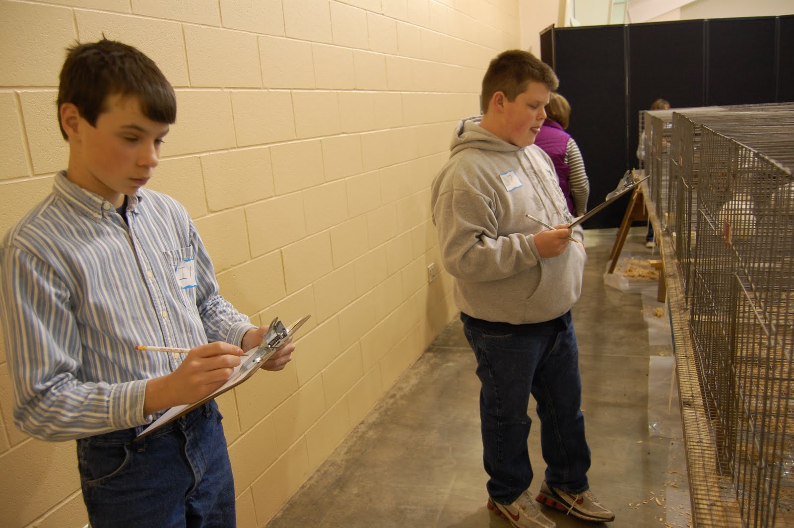 Wells County 4H Fair March 2010