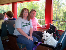 Mike, Jeri & Lincoln on train in NH