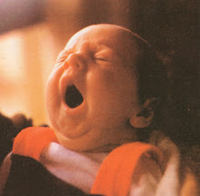 "Un recién nacido" en Cristo.