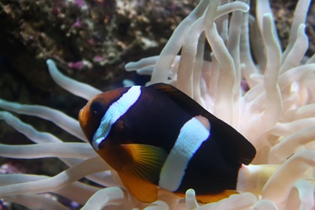 [828347_62744103.jpg]