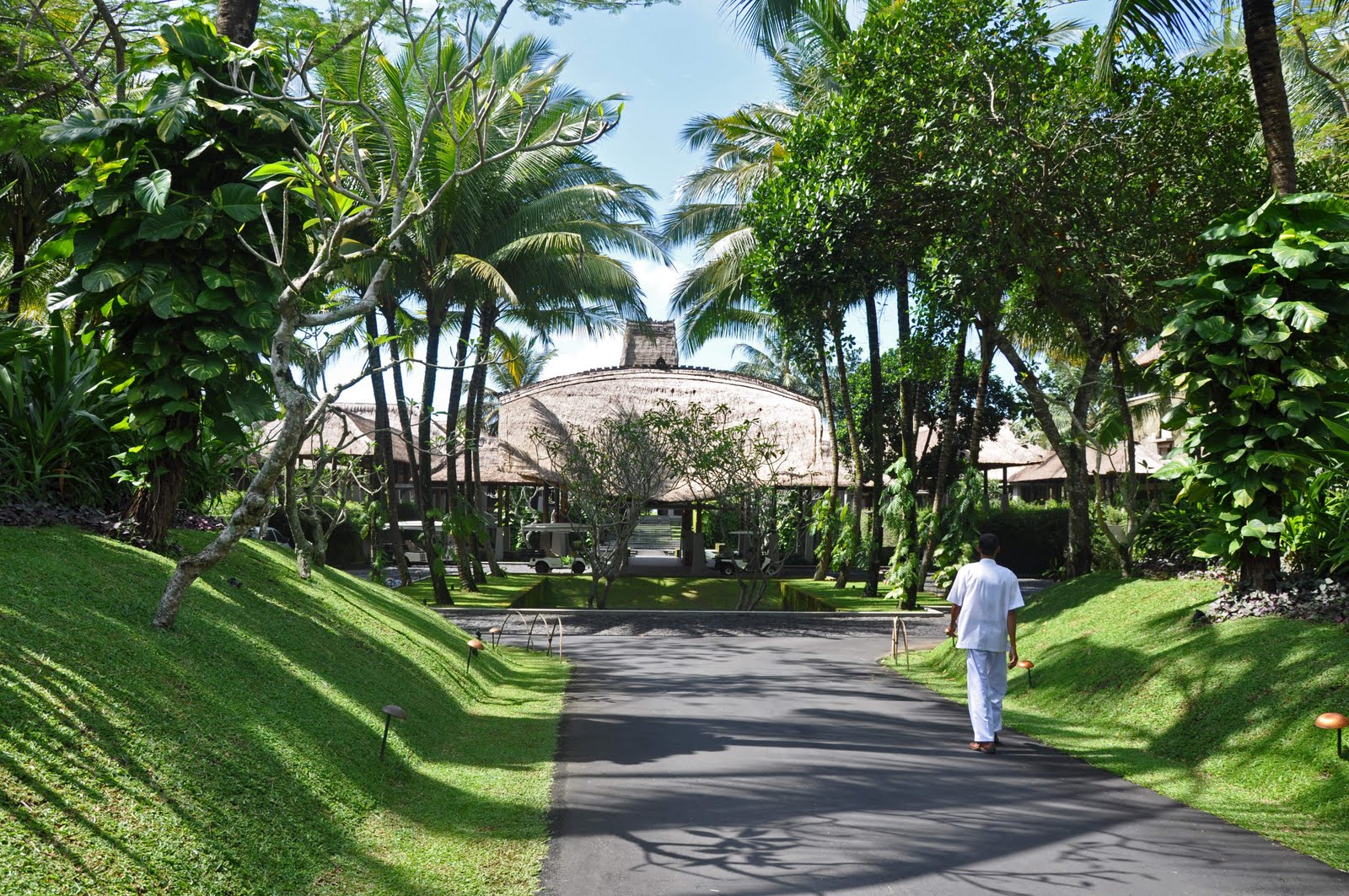 Bali 2010 - Maya Ubud