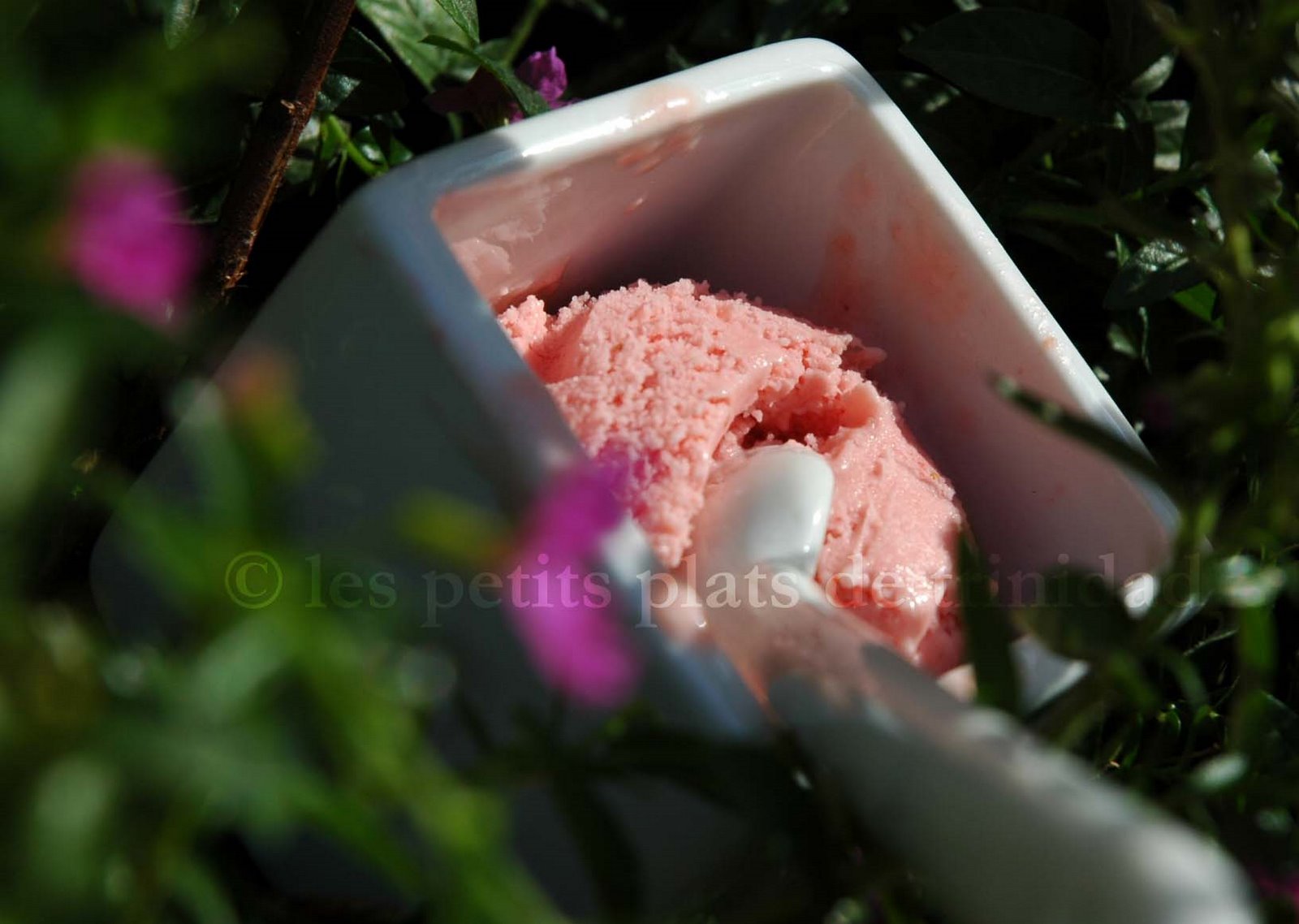 Glace à la fraise facile (sans crème anglaise) recettes la fraise, gateau danniversaire