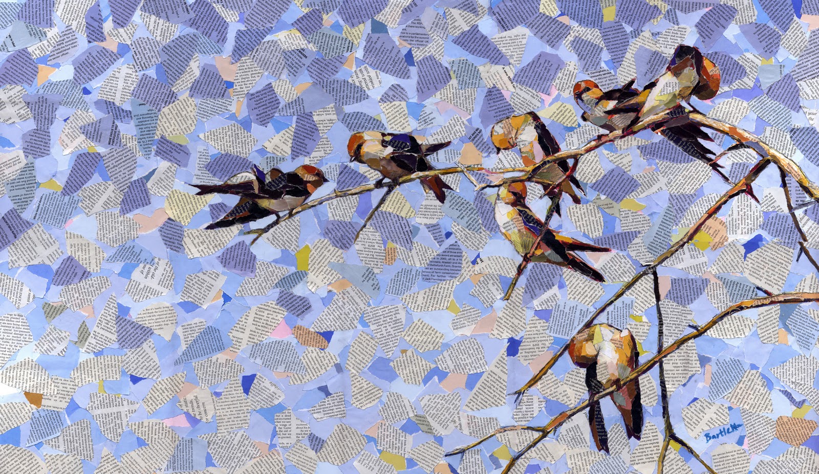 Tim Wootton Wildlife Art Drawing & Painting Birds New Book Release