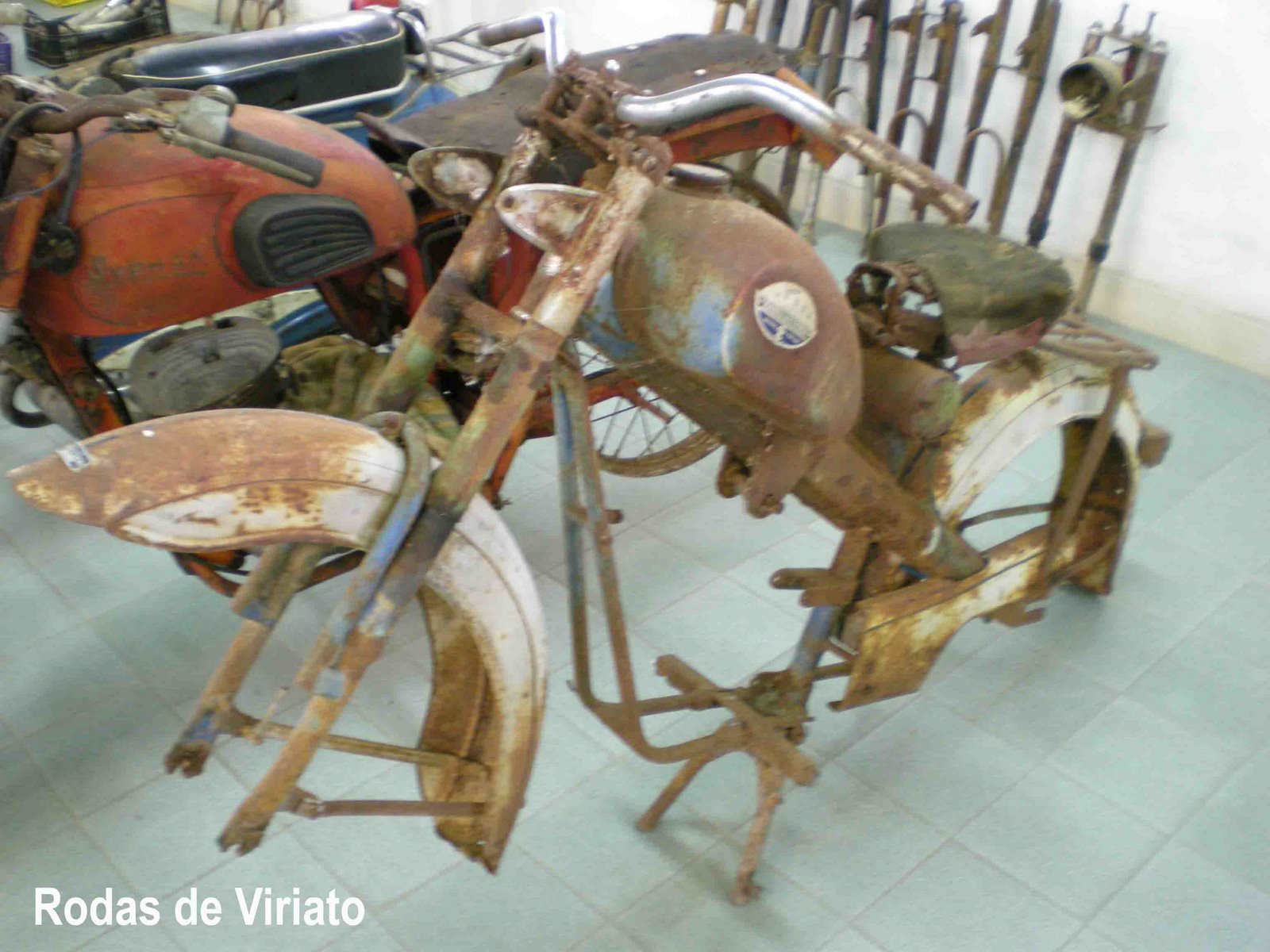 [famel+victoria.jpg]