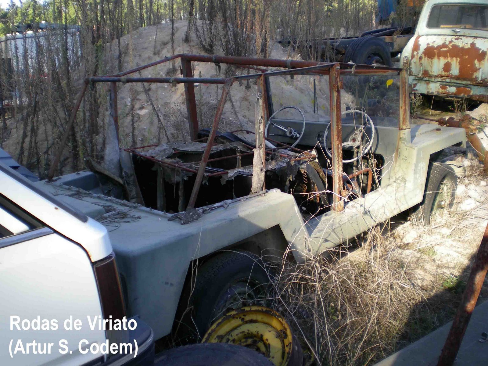 [jiptara+artur+codem2.jpg]