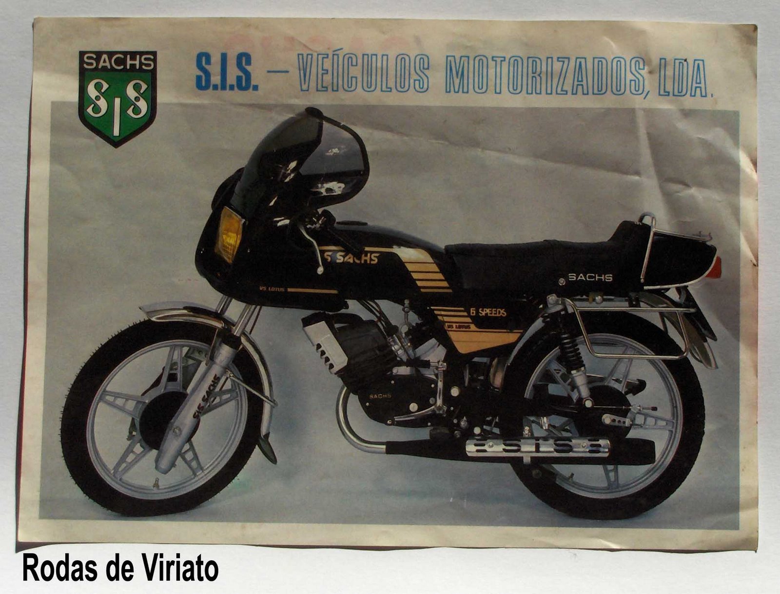 [sis+sachs+lotus.jpg]