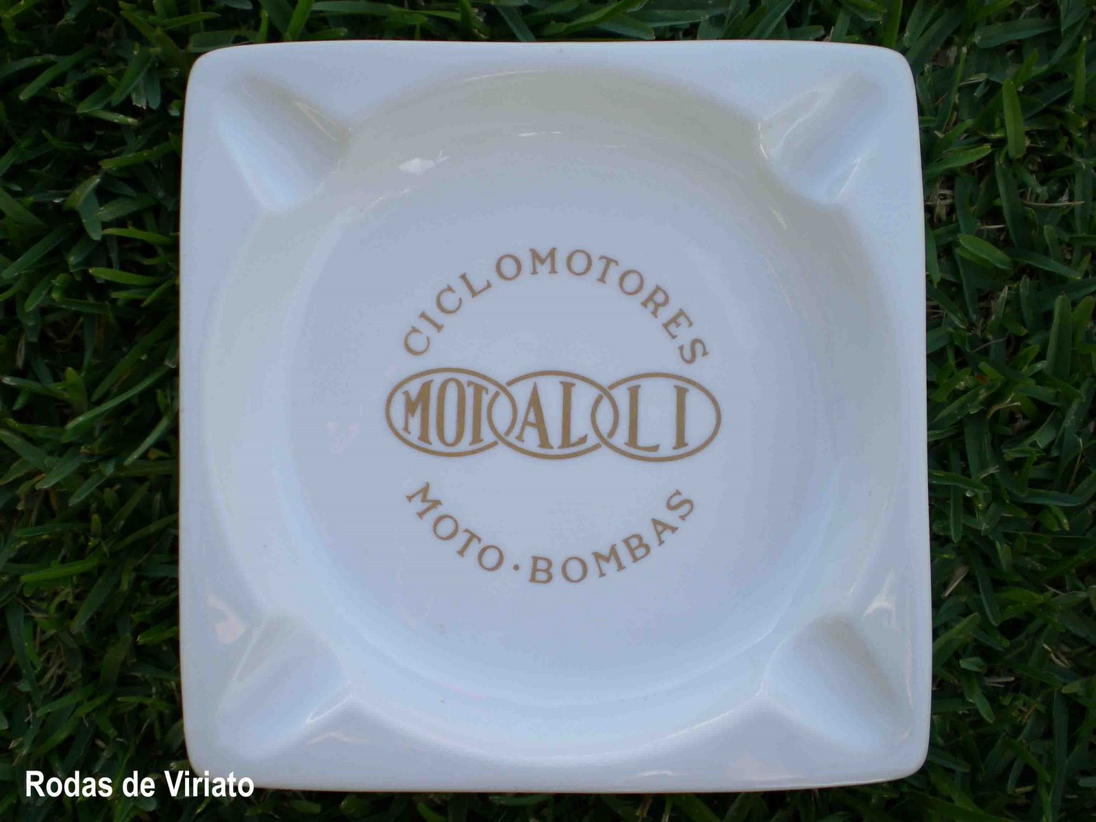 [motalli+cinzeiro.jpg]