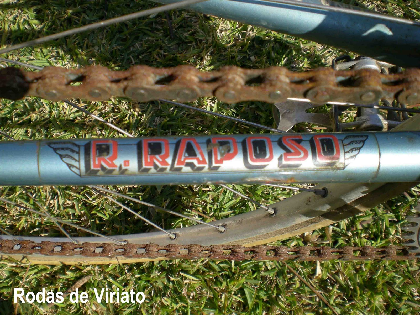 [r+raposo4.jpg]