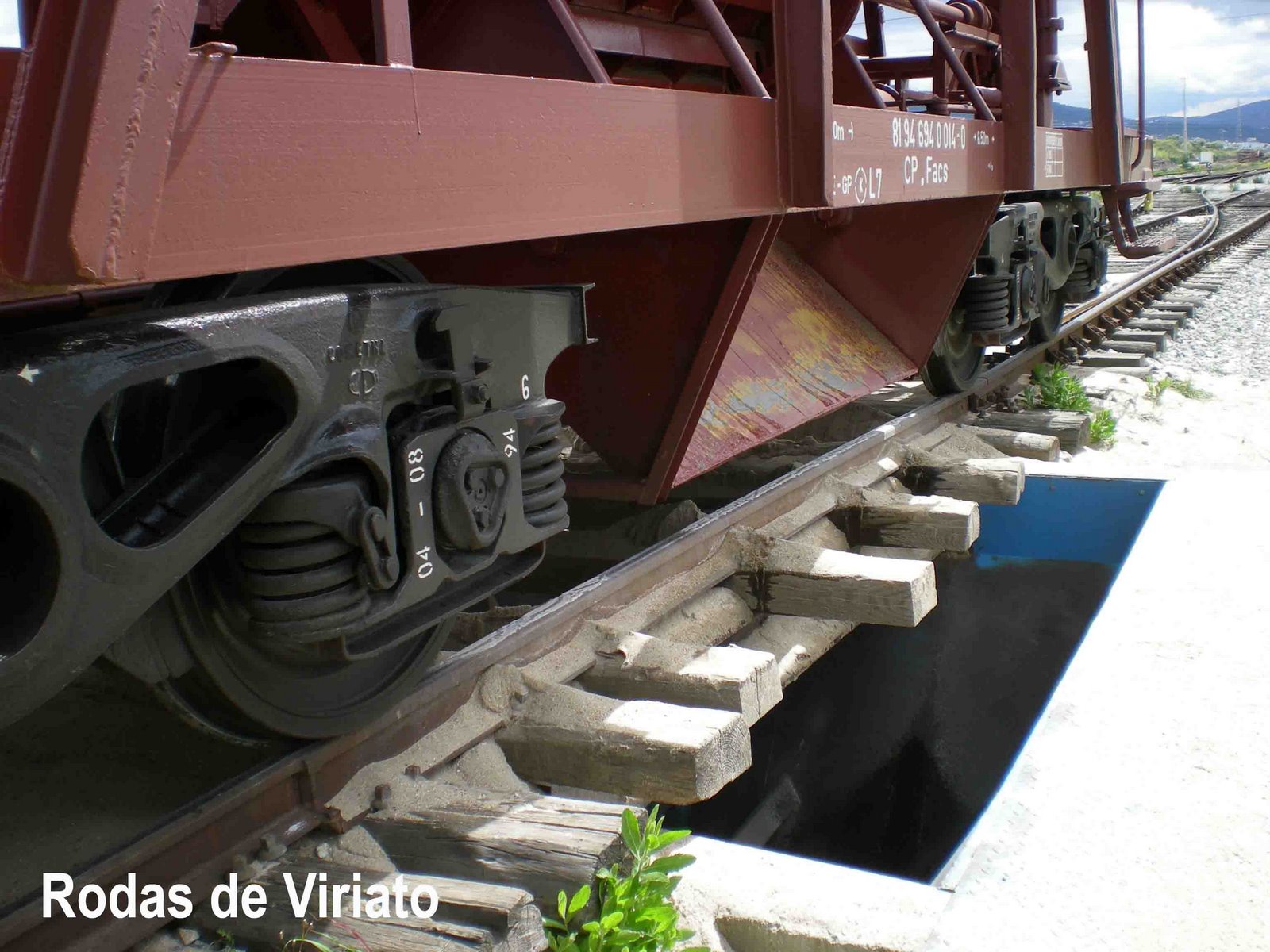 [cometna+sorefame+facs+(6).jpg]