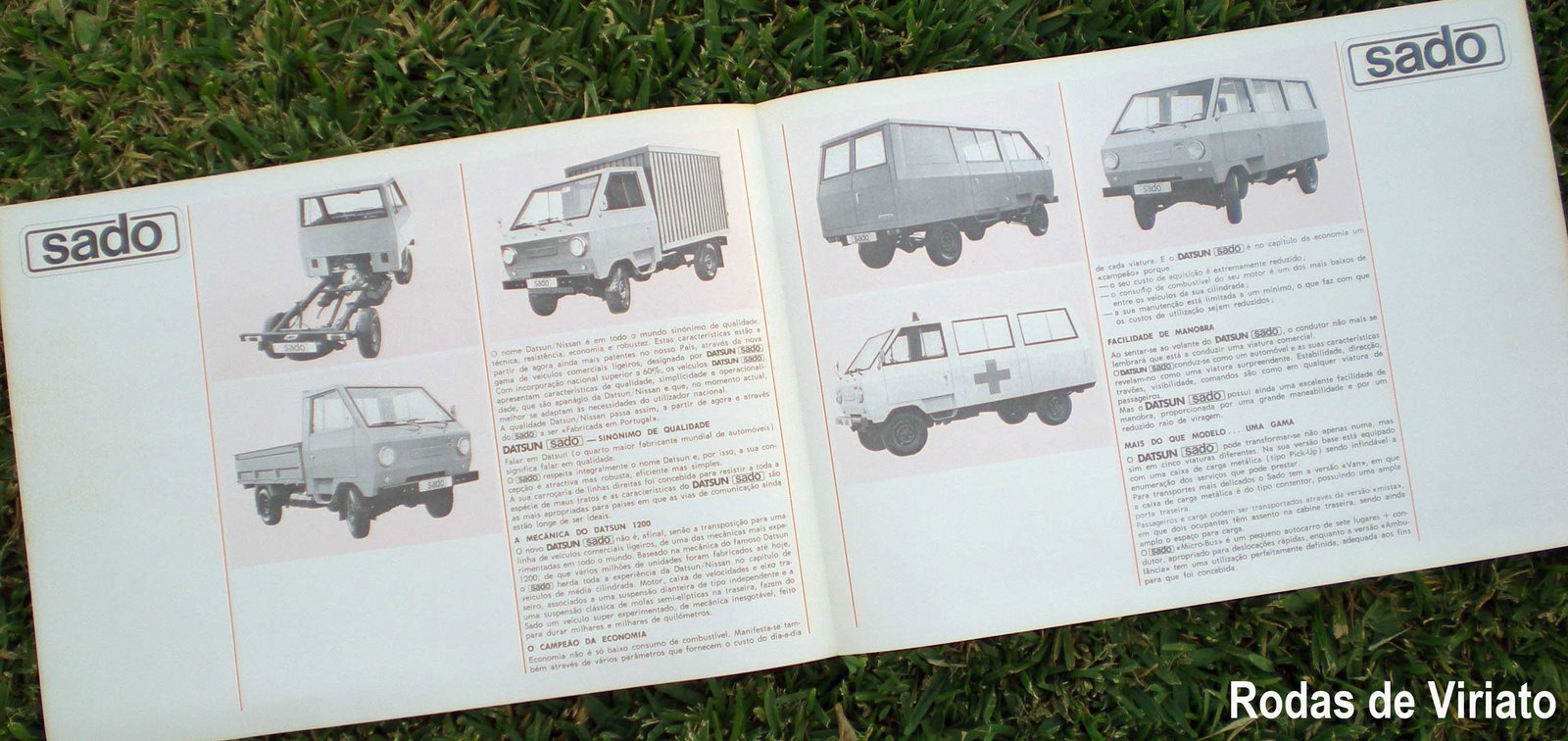 [datsun+sado+cat2.jpg]