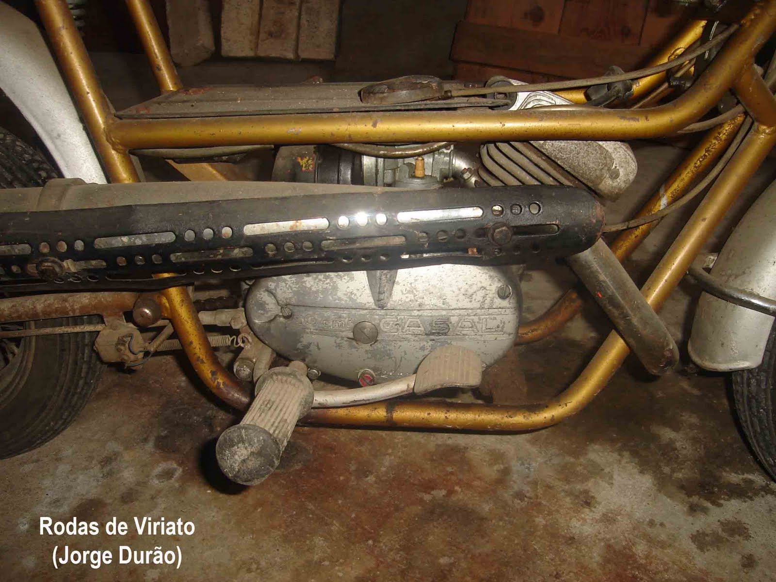 [guri+dourada+motor.jpg]