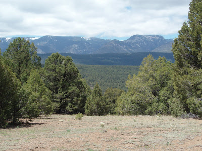 Mora Valley New Mexico
