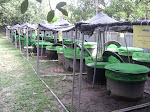 lintah garden