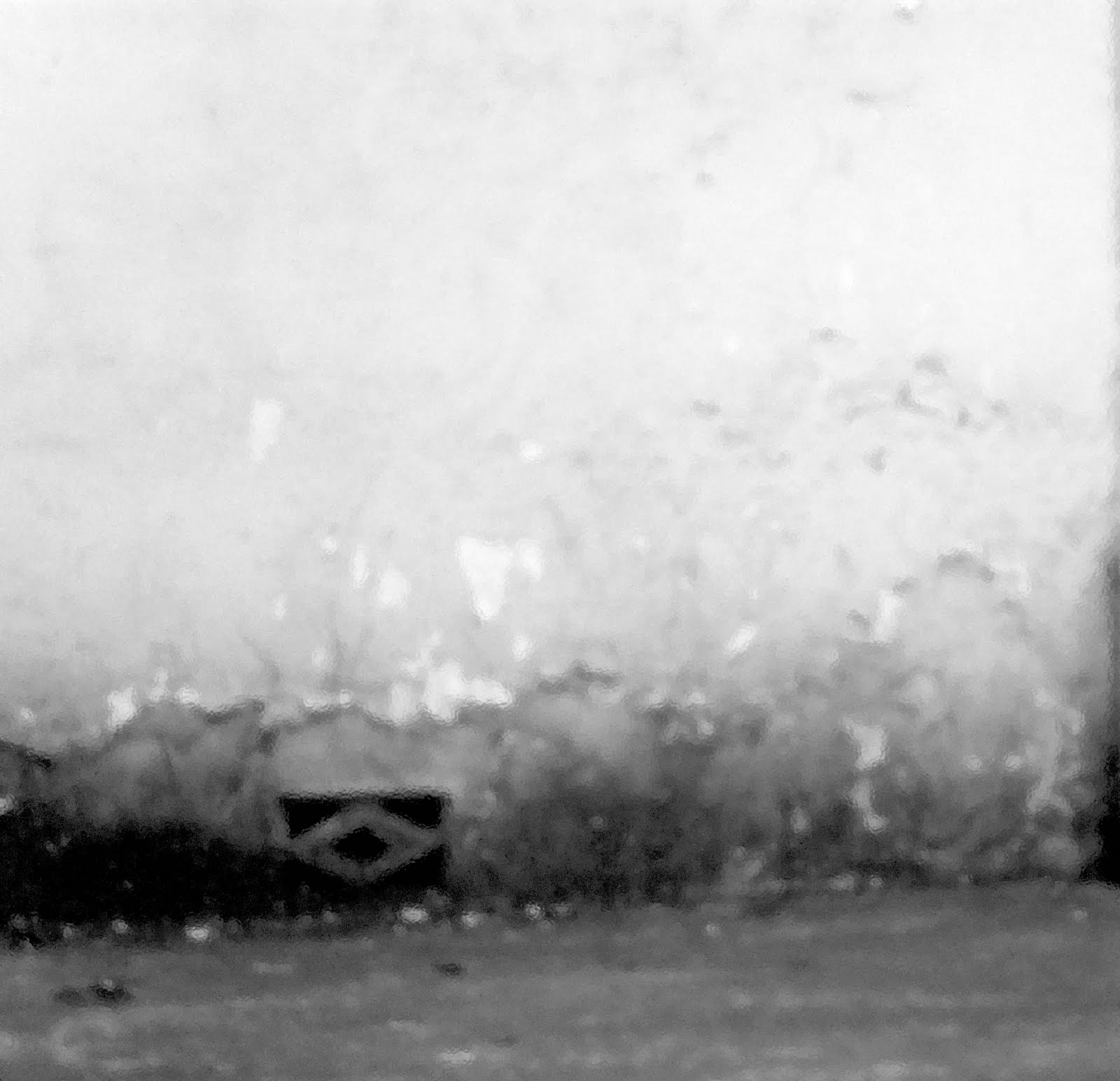 CON LOS PIES BIEN PUESTOS EN