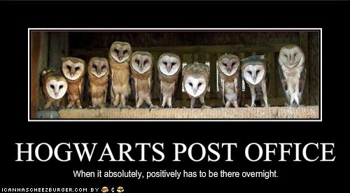 funny-pictures-hogwarts-has-a-post-office.jpg
