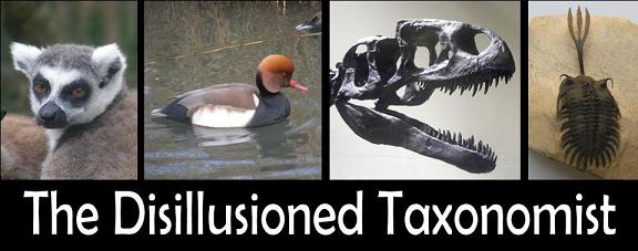 The Disillusioned Taxonomist