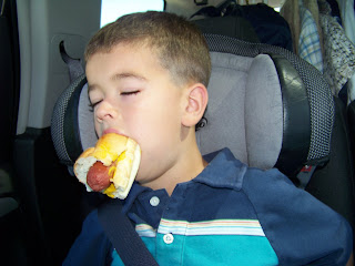 Image result for sleeping hot dog