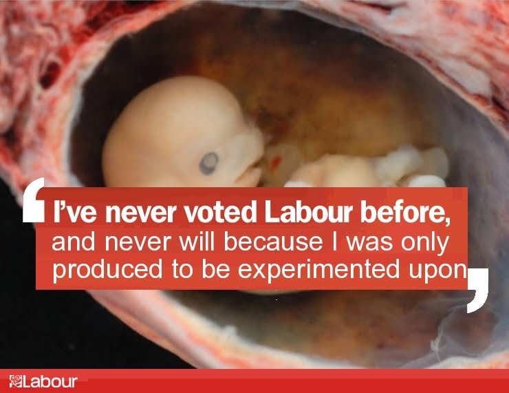 [Never+voted+labour+2.jpg]