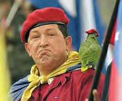 [hugo_chavez_papagaio.jpg]