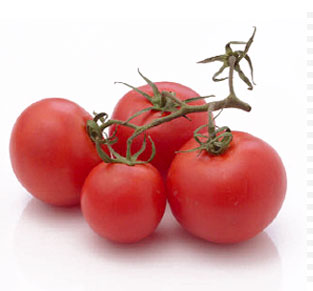 [tomates.jpg]