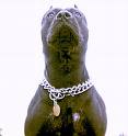 [cão+perigoso.jpg]