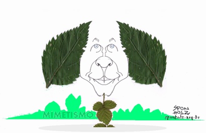 [mimetismo.jpg]