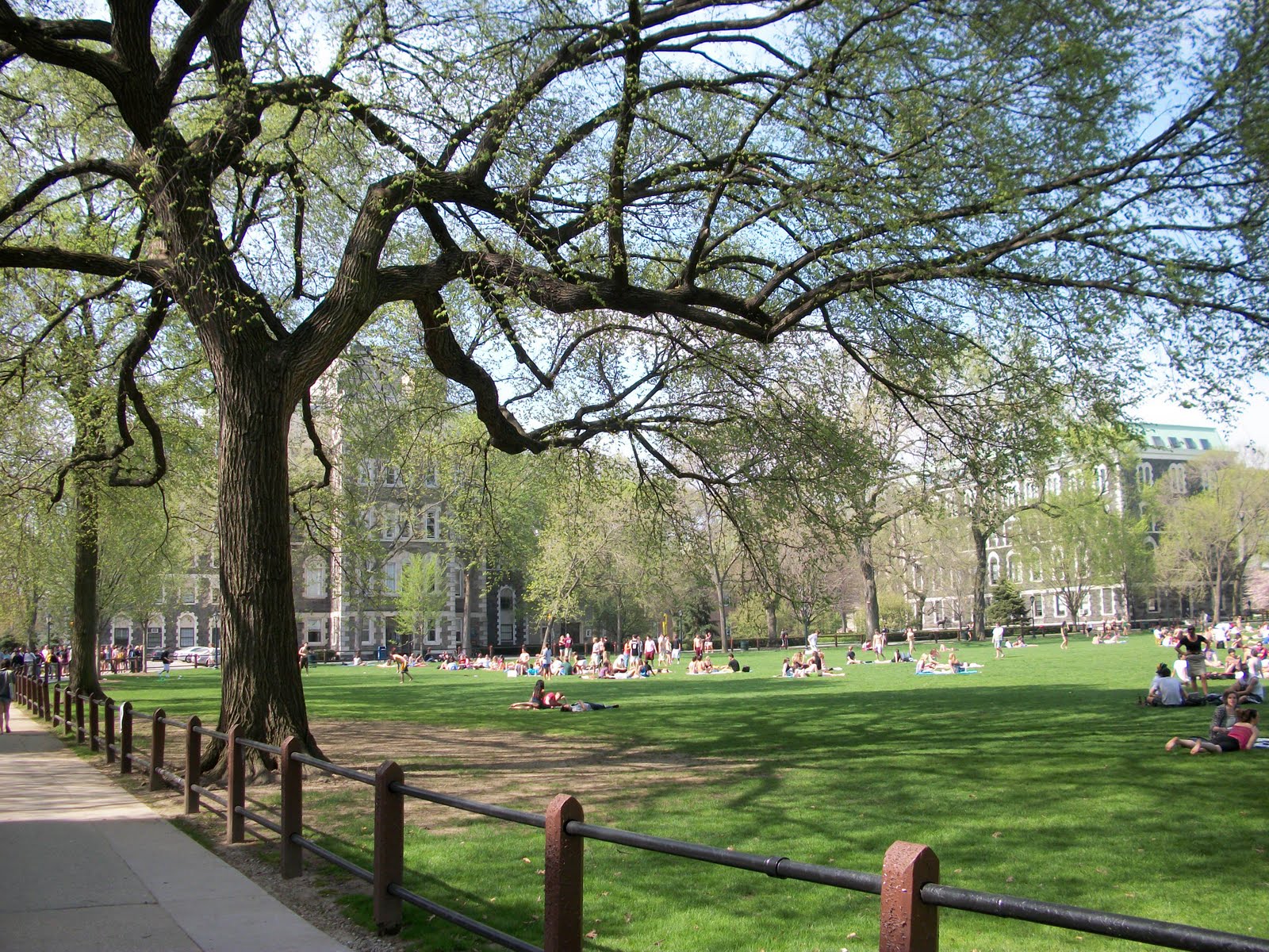 International Students Faces of Fordham Spring has come to Fordham!
