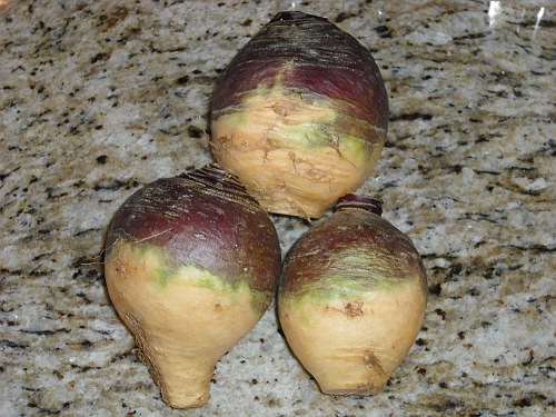 Culinary Alchemy: Rutabaga Ruminations - Rotmos (Rutabaga Mash)