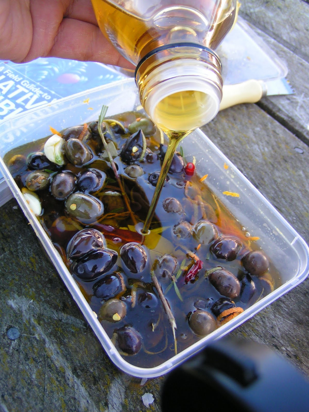Curious Kai Brining & Marinating Olives