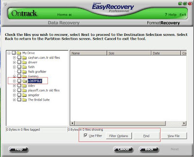 recovery 6 - recovery 6