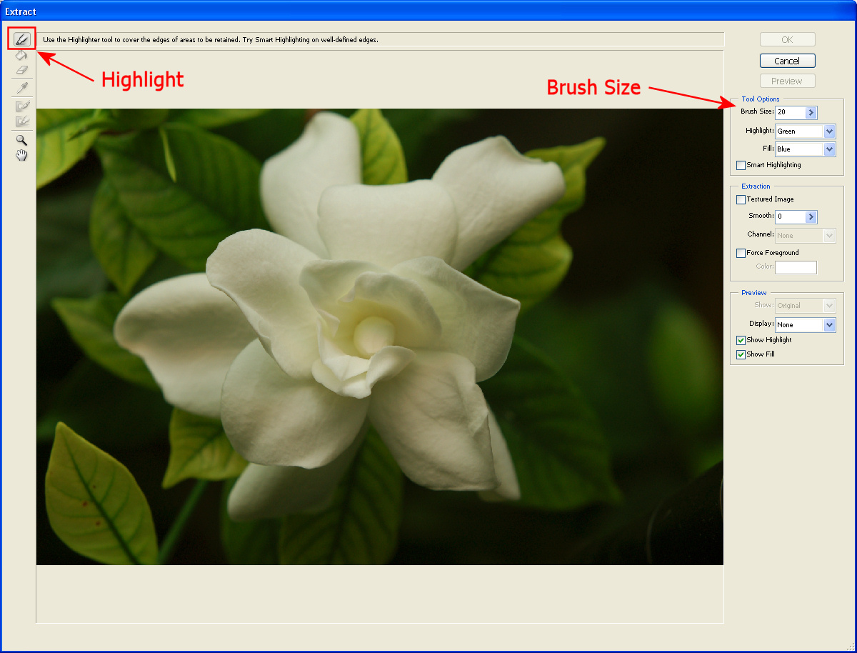 Humbug Graphics Galore Removing Background in Photos