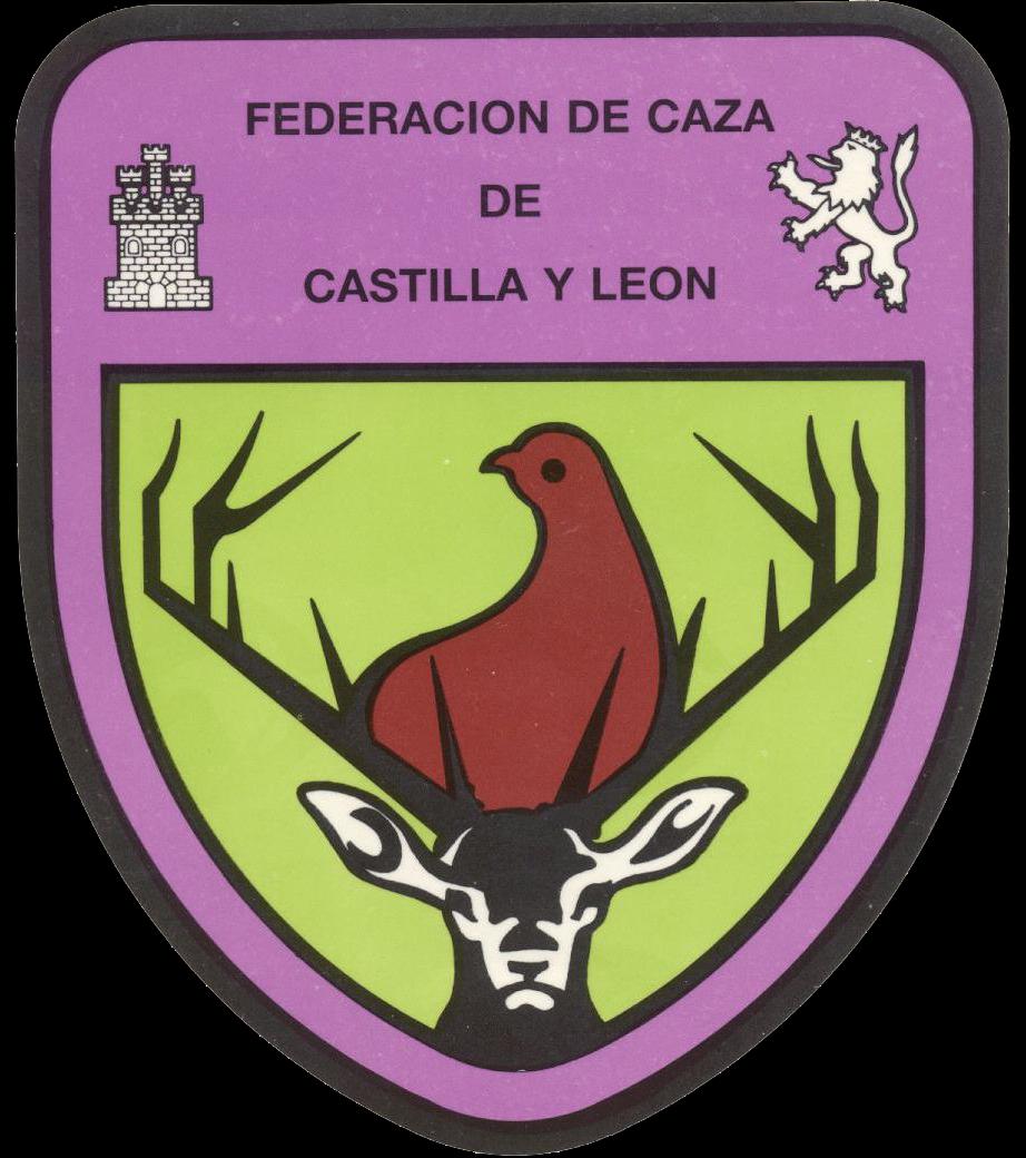 MIS COSAS DE CAZA COTOS CAZA RELATOS CAZA NOTICIAS CAZA CAZA MIS COSAS DE CAZA COTOS CAZA RELATOS CAZA NOTICIAS CAZA CAZA