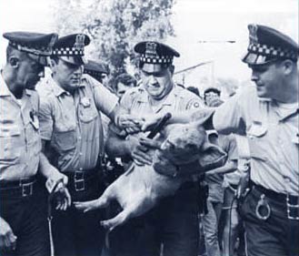 [aug23_pigasus_arrested.jpg]