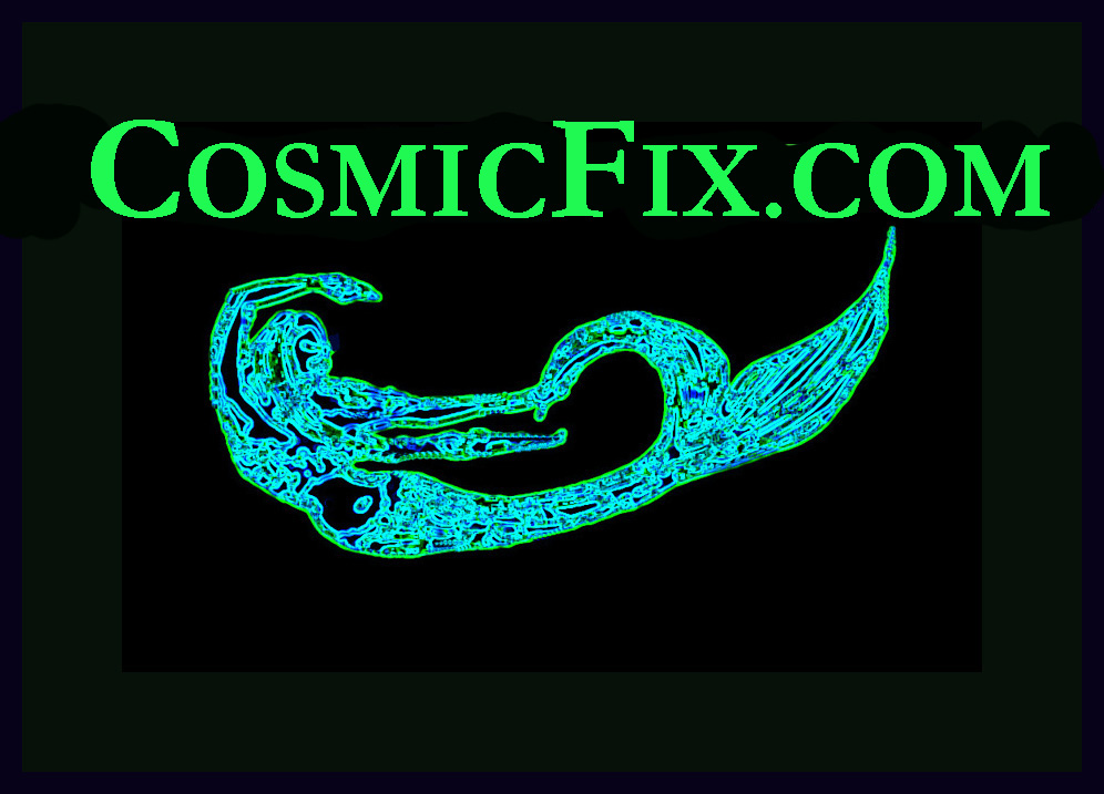 [CosmicFix+Logo+12.jpg]