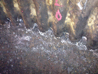 boiler tubes water feed treatment leaking indicates there