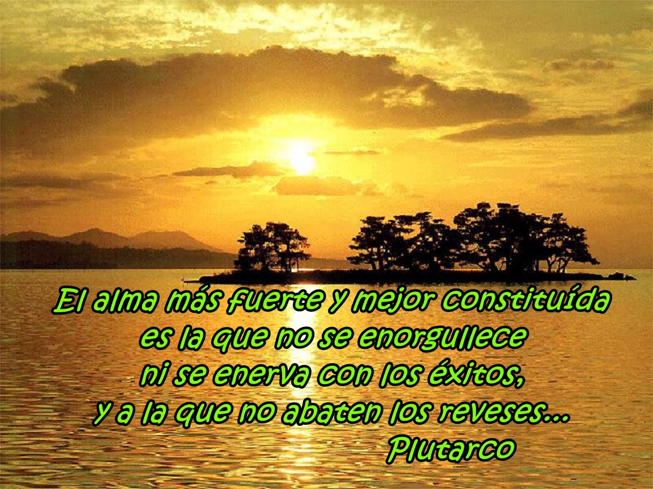 Ver las imágenes de origen