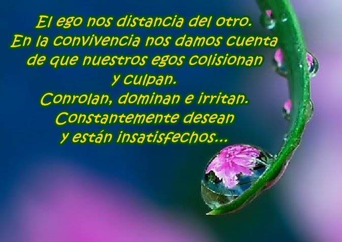 Mis mejores frases&hellip; el ego&hellip;