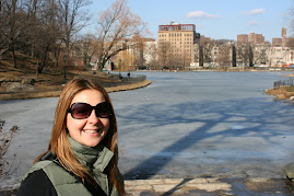 lago congelado no Central park