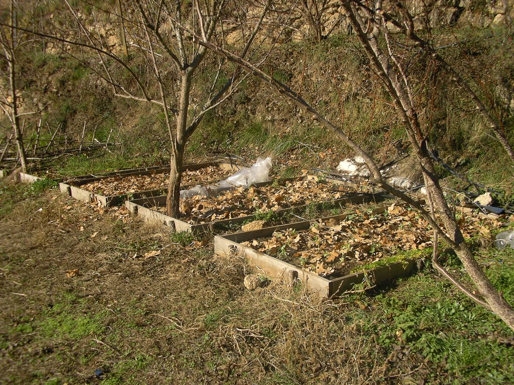 [2007-12-26+007.JPG]