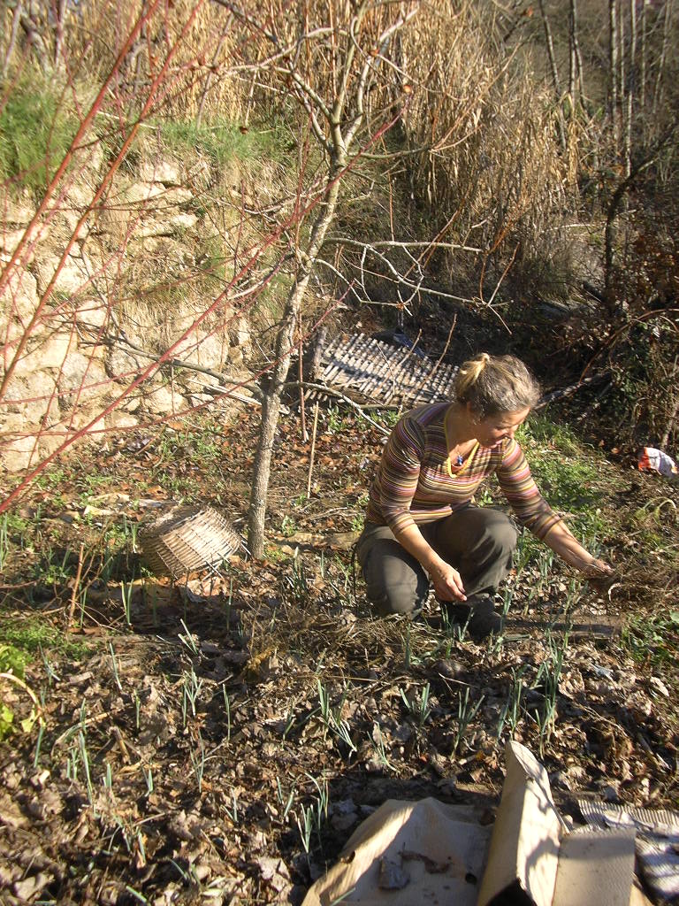 [2007-12-26+010.JPG]