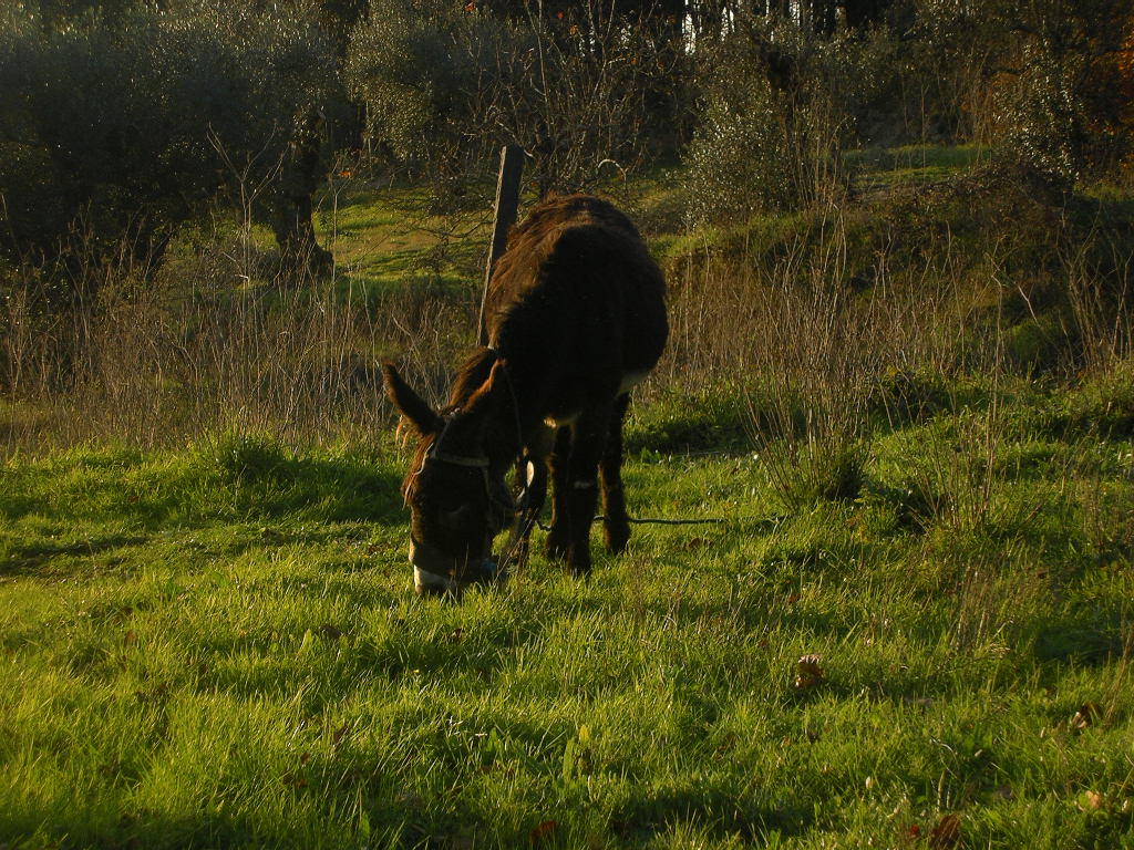 [2007-01-10+034.JPG]