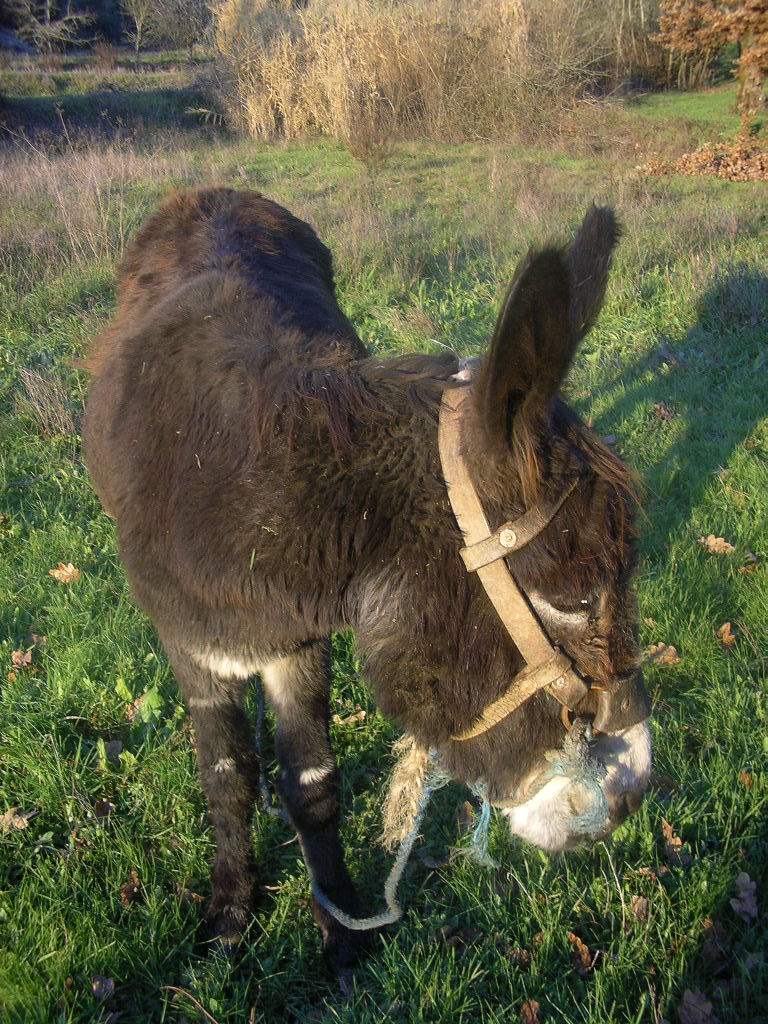 [2007-01-10+039.JPG]