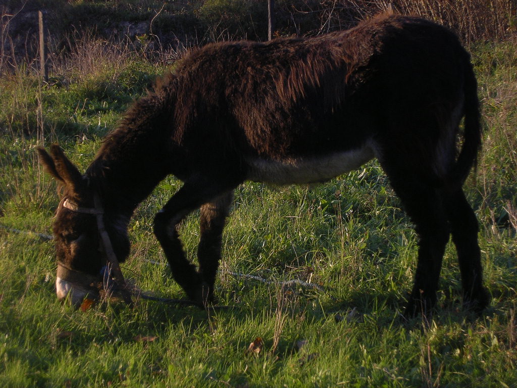 [2007-01-10+037.JPG]