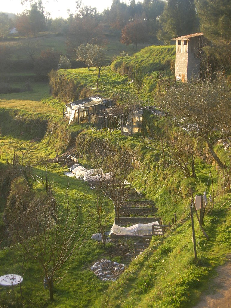 [2007-01-10+031.JPG]